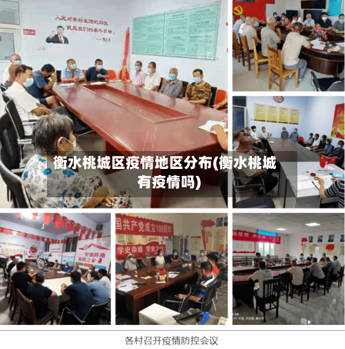 衡水桃城区疫情地区分布(衡水桃城有疫情吗)-第3张图片