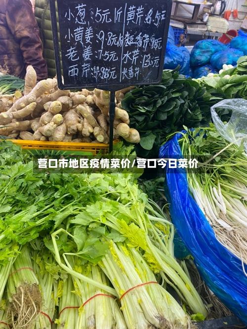 营口市地区疫情菜价/营口今日菜价