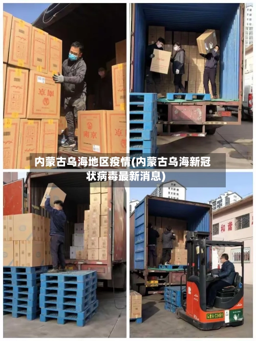 内蒙古乌海地区疫情(内蒙古乌海新冠状病毒最新消息)-第3张图片