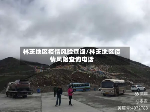 林芝地区疫情风险查询/林芝地区疫情风险查询电话