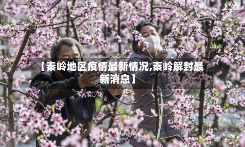 【秦岭地区疫情最新情况,秦岭解封最新消息】-第2张图片