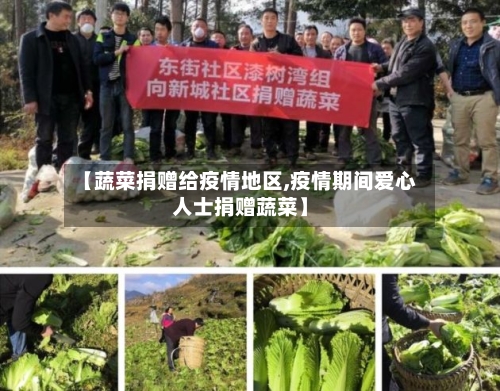 【蔬菜捐赠给疫情地区,疫情期间爱心人士捐赠蔬菜】-第2张图片