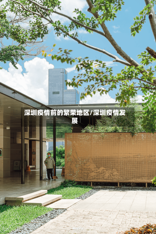 深圳疫情前的繁荣地区/深圳疫情发展-第2张图片
