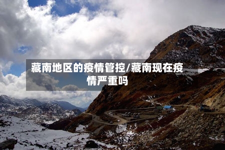 藏南地区的疫情管控/藏南现在疫情严重吗-第2张图片