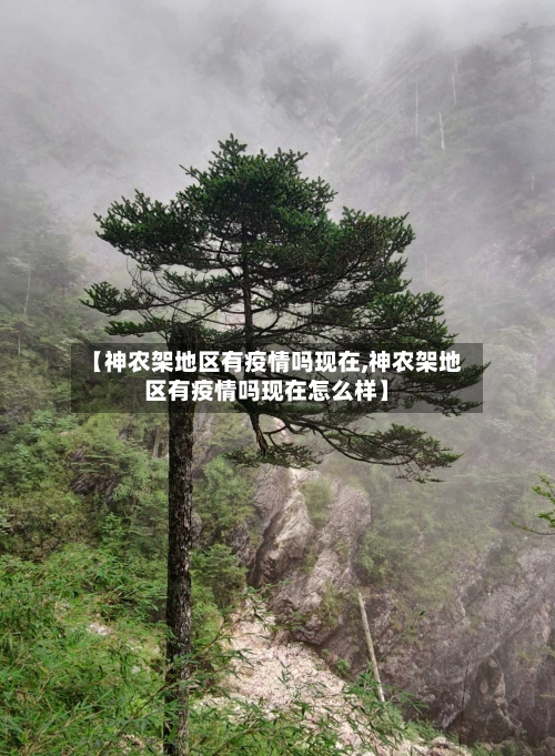 【神农架地区有疫情吗现在,神农架地区有疫情吗现在怎么样】