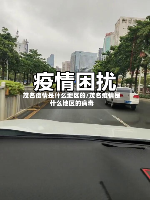 茂名疫情是什么地区的/茂名疫情是什么地区的病毒-第2张图片