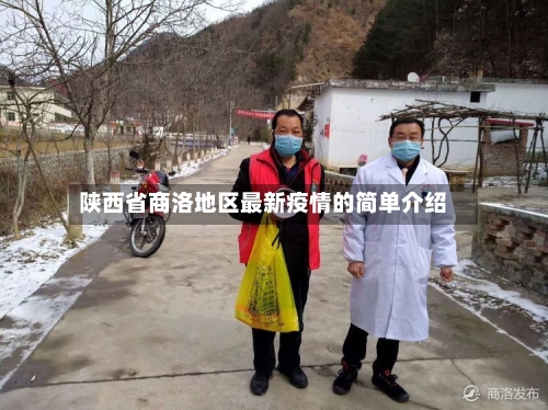 陕西省商洛地区最新疫情的简单介绍-第2张图片