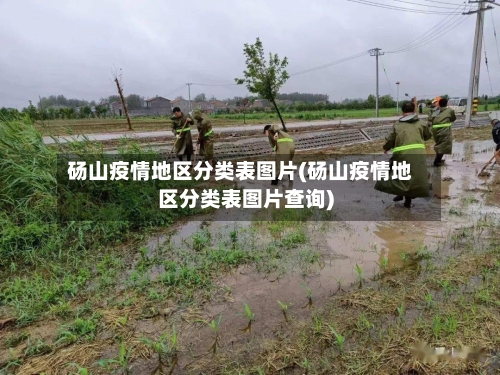 砀山疫情地区分类表图片(砀山疫情地区分类表图片查询)-第3张图片