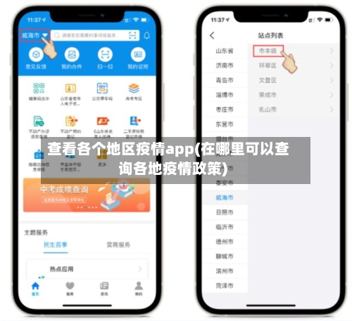 查看各个地区疫情app(在哪里可以查询各地疫情政策)-第3张图片