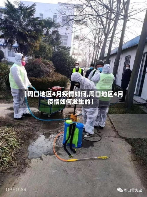 【周口地区4月疫情如何,周口地区4月疫情如何发生的】-第2张图片