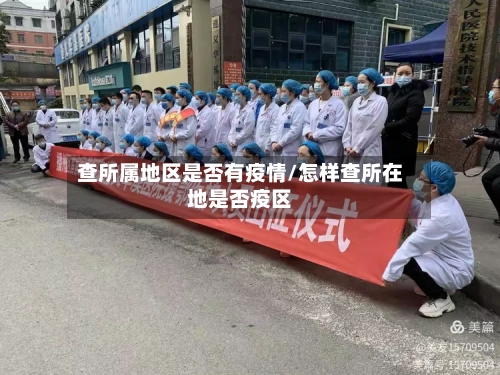 查所属地区是否有疫情/怎样查所在地是否疫区