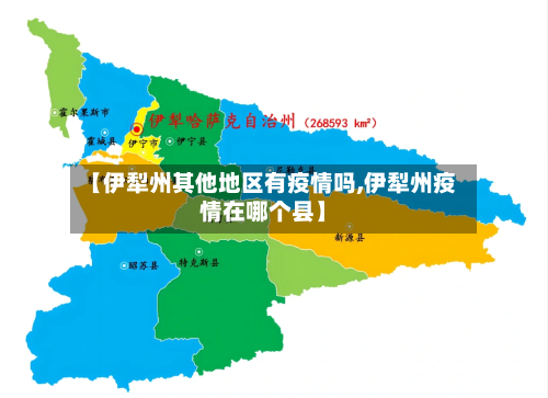 【伊犁州其他地区有疫情吗,伊犁州疫情在哪个县】-第3张图片