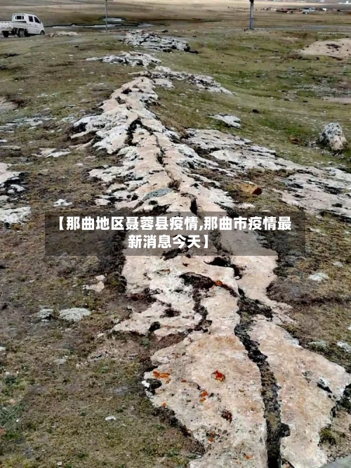 【那曲地区聂蓉县疫情,那曲市疫情最新消息今天】-第3张图片