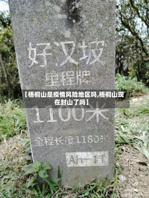 【梧桐山是疫情风险地区吗,梧桐山现在封山了吗】-第3张图片