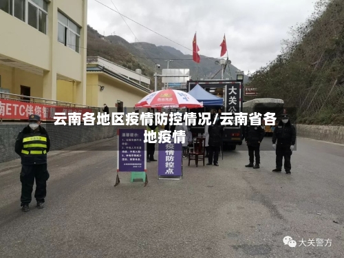 云南各地区疫情防控情况/云南省各地疫情