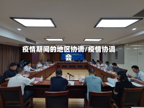 疫情期间的地区协调/疫情协调会-第2张图片