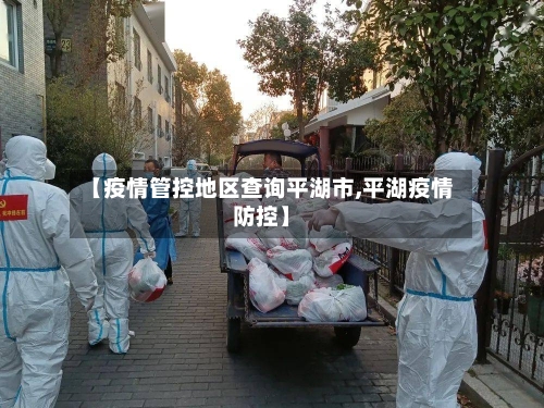 【疫情管控地区查询平湖市,平湖疫情防控】-第2张图片