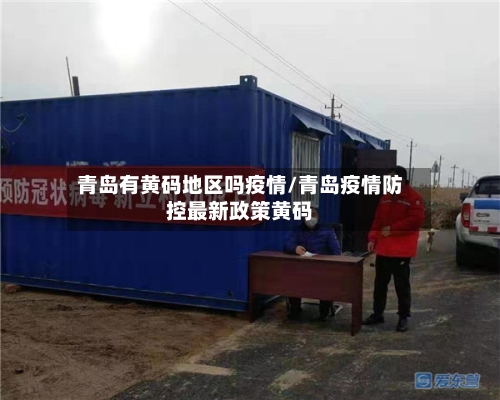 青岛有黄码地区吗疫情/青岛疫情防控最新政策黄码-第2张图片