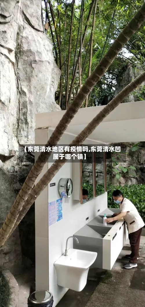 【东莞清水地区有疫情吗,东莞清水凹属于哪个镇】