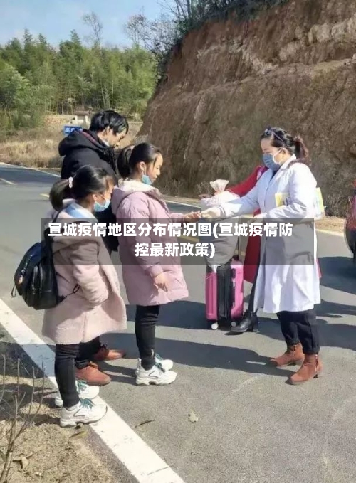 宣城疫情地区分布情况图(宣城疫情防控最新政策)-第2张图片