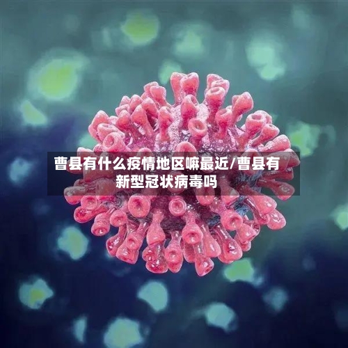 曹县有什么疫情地区嘛最近/曹县有新型冠状病毒吗