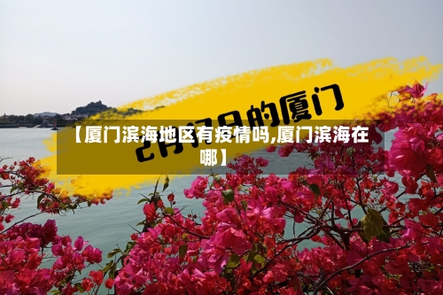 【厦门滨海地区有疫情吗,厦门滨海在哪】