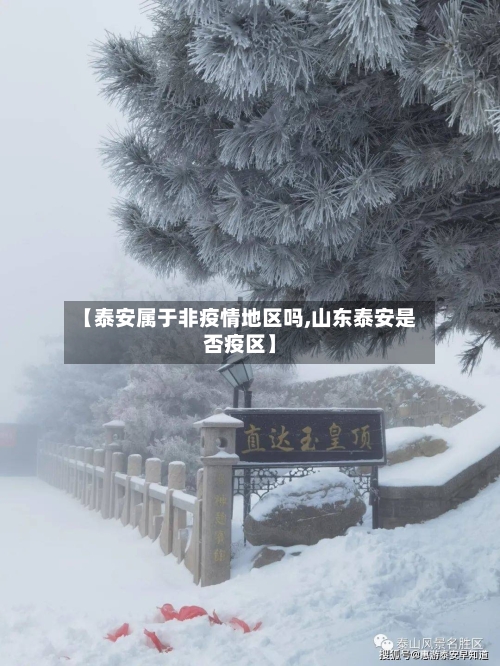 【泰安属于非疫情地区吗,山东泰安是否疫区】