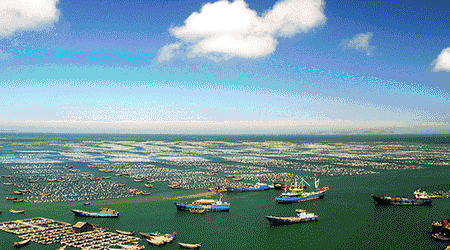 【国内地区疫情动态图最新,国内地区疫情数据】