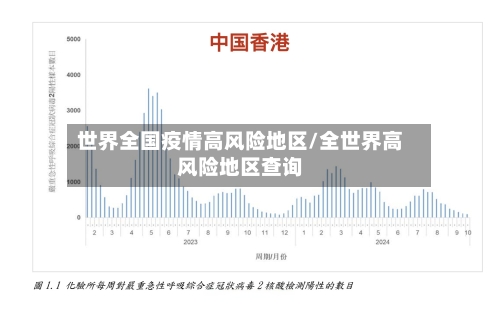 世界全国疫情高风险地区/全世界高风险地区查询