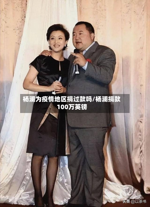 杨澜为疫情地区捐过款吗/杨澜捐款100万英镑-第2张图片