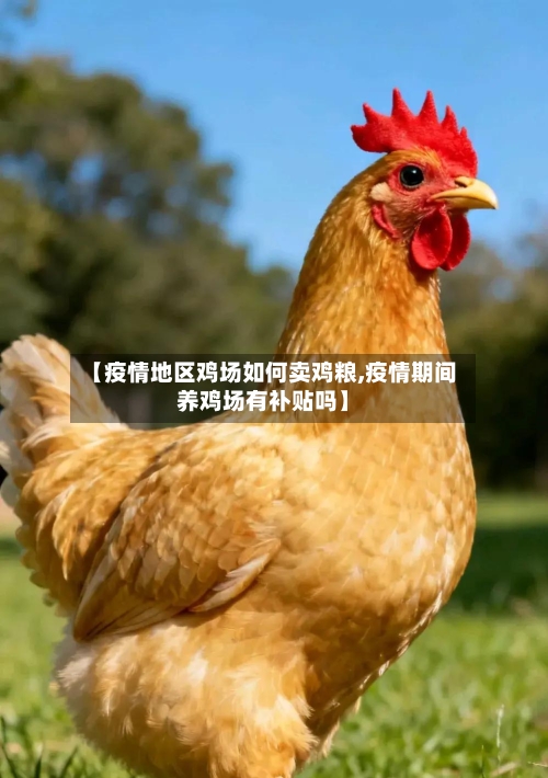 【疫情地区鸡场如何卖鸡粮,疫情期间养鸡场有补贴吗】