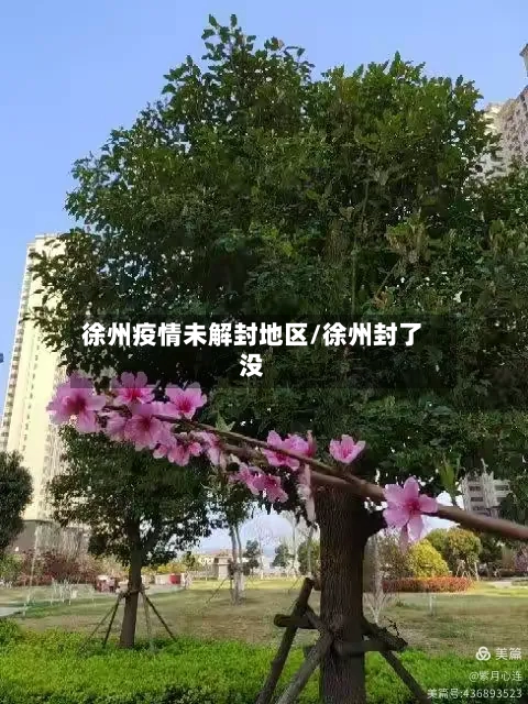 徐州疫情未解封地区/徐州封了没