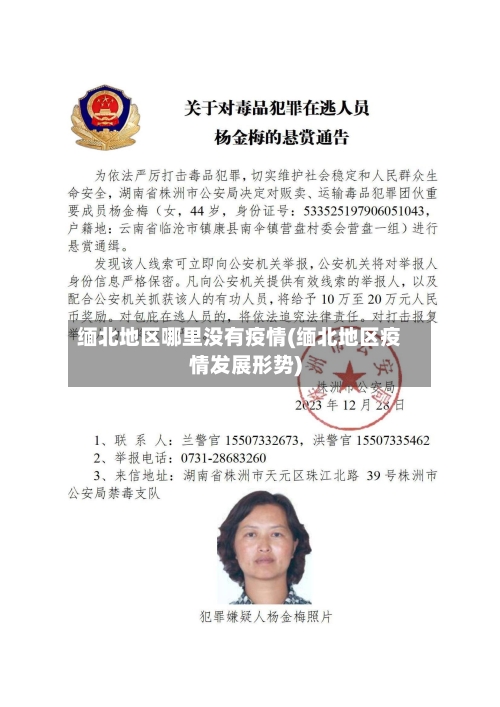 缅北地区哪里没有疫情(缅北地区疫情发展形势)-第3张图片