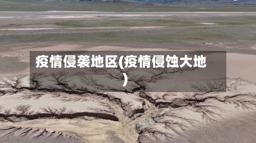 疫情侵袭地区(疫情侵蚀大地)