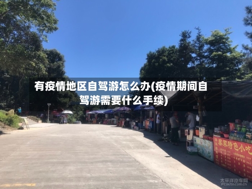 有疫情地区自驾游怎么办(疫情期间自驾游需要什么手续)