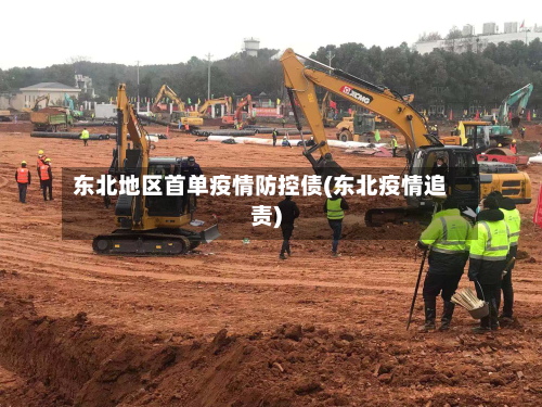 东北地区首单疫情防控债(东北疫情追责)