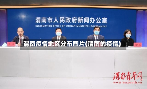 渭南疫情地区分布图片(渭南的疫情)-第2张图片