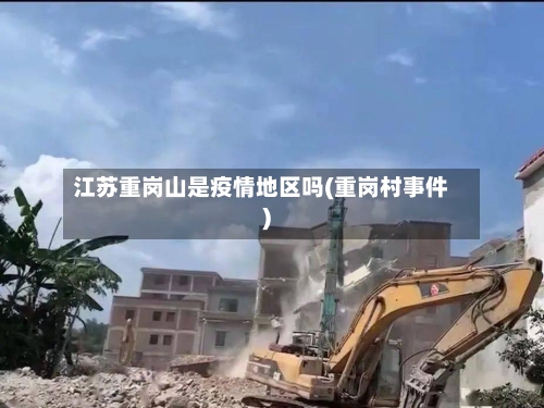 江苏重岗山是疫情地区吗(重岗村事件)