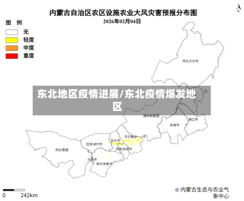 东北地区疫情进展/东北疫情爆发地区-第2张图片