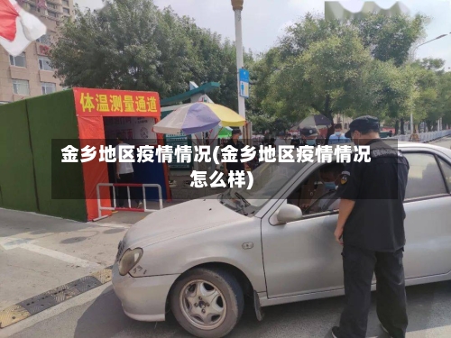 金乡地区疫情情况(金乡地区疫情情况怎么样)