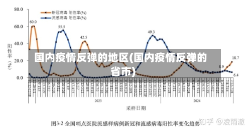 国内疫情反弹的地区(国内疫情反弹的省市)