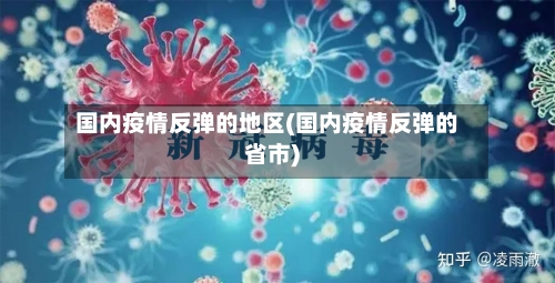 国内疫情反弹的地区(国内疫情反弹的省市)-第2张图片