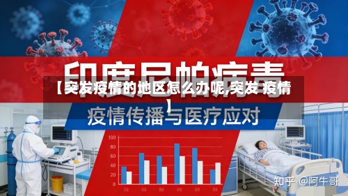 【突发疫情的地区怎么办呢,突发 疫情】