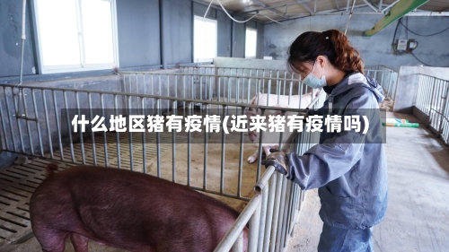 什么地区猪有疫情(近来猪有疫情吗)-第3张图片