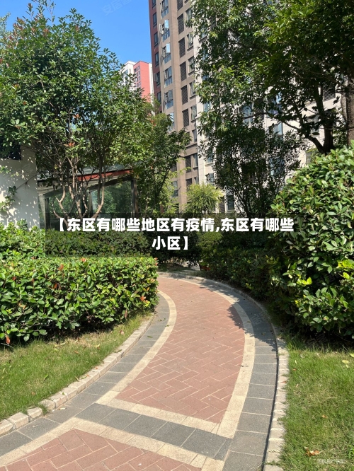 【东区有哪些地区有疫情,东区有哪些小区】
