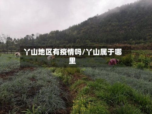 丫山地区有疫情吗/丫山属于哪里