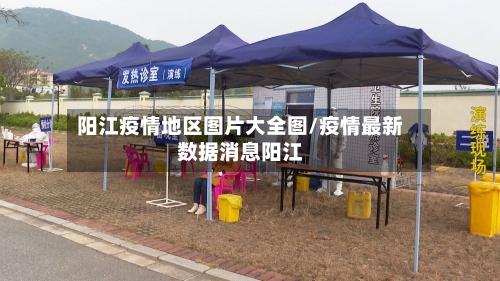 阳江疫情地区图片大全图/疫情最新数据消息阳江-第2张图片