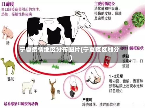 宁夏疫情地区分布图片(宁夏疫区划分)-第3张图片