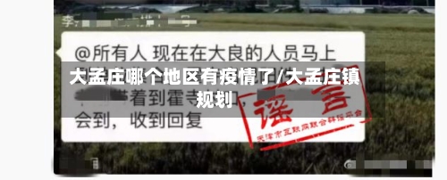 大孟庄哪个地区有疫情了/大孟庄镇规划-第1张图片