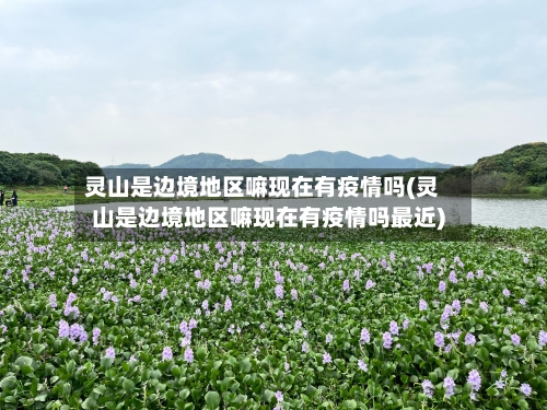 灵山是边境地区嘛现在有疫情吗(灵山是边境地区嘛现在有疫情吗最近)-第2张图片